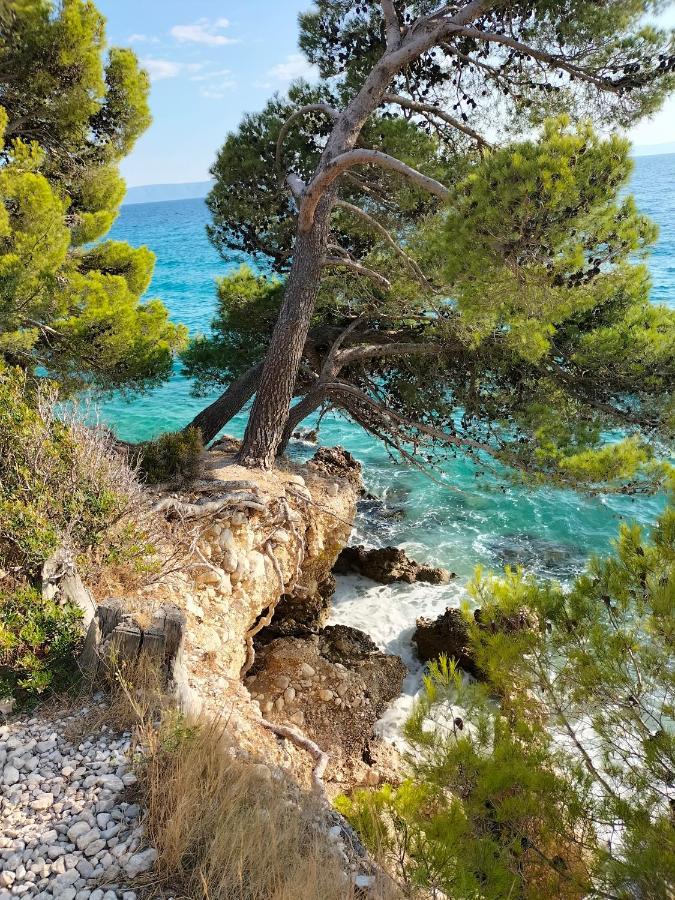 Apartamento Studie-apartment In Makarska, Kroatien *